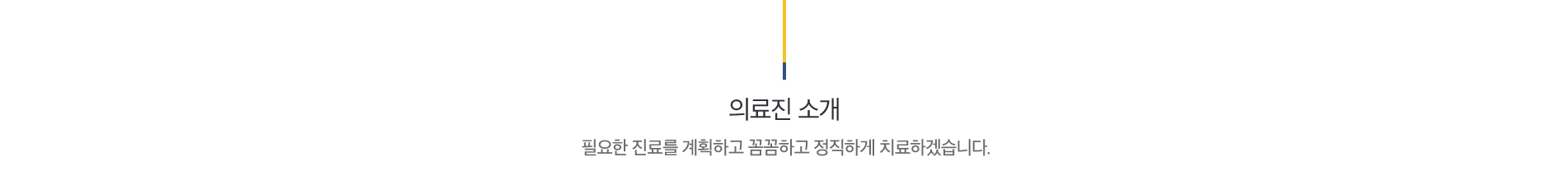 의료진소개