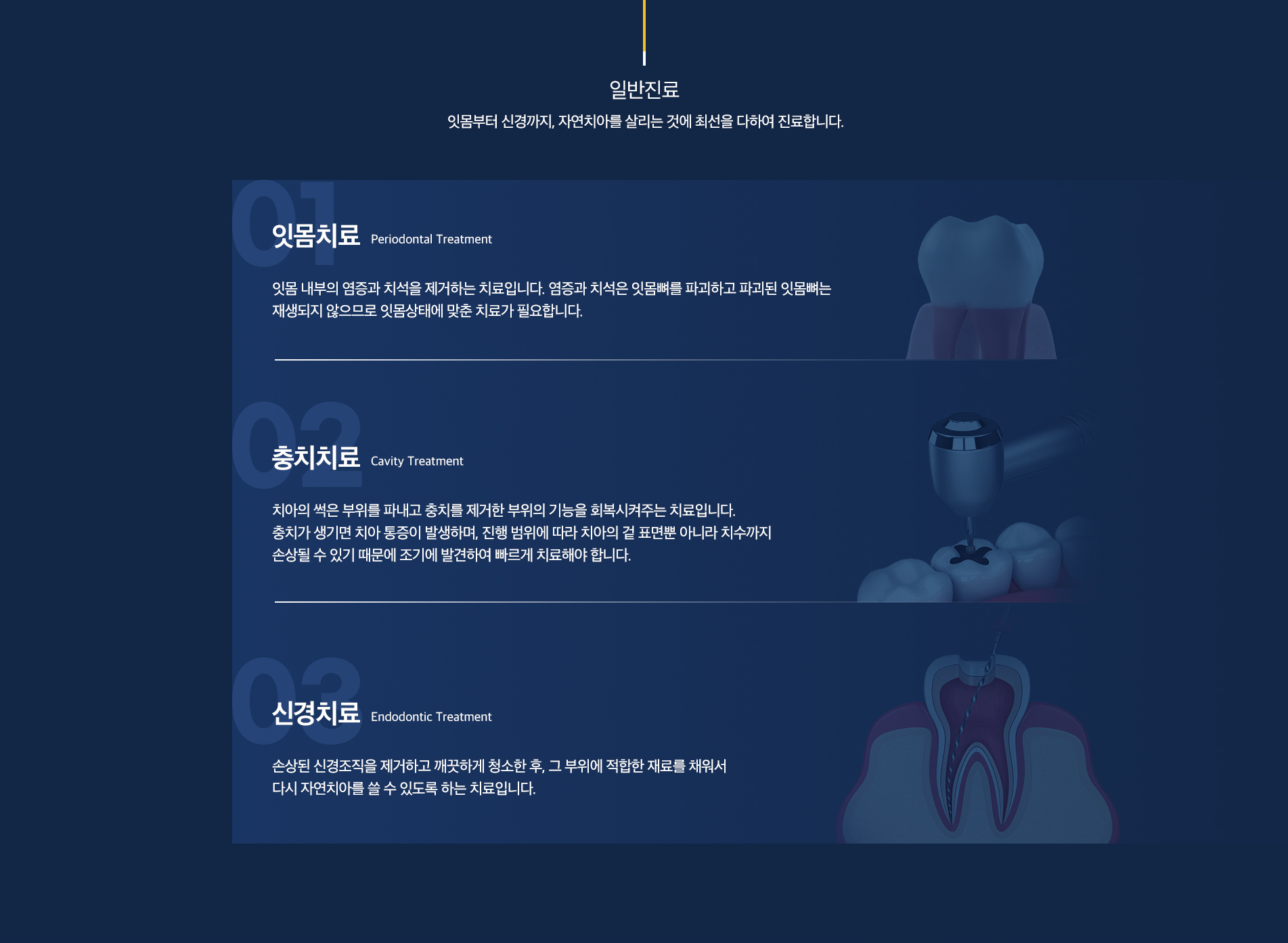 일반진료
