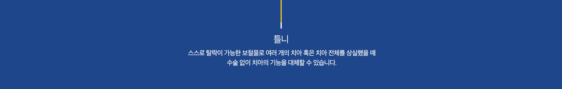 틀니