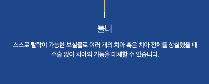 틀니