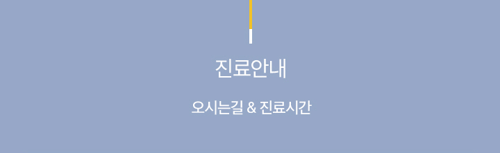 진료안내