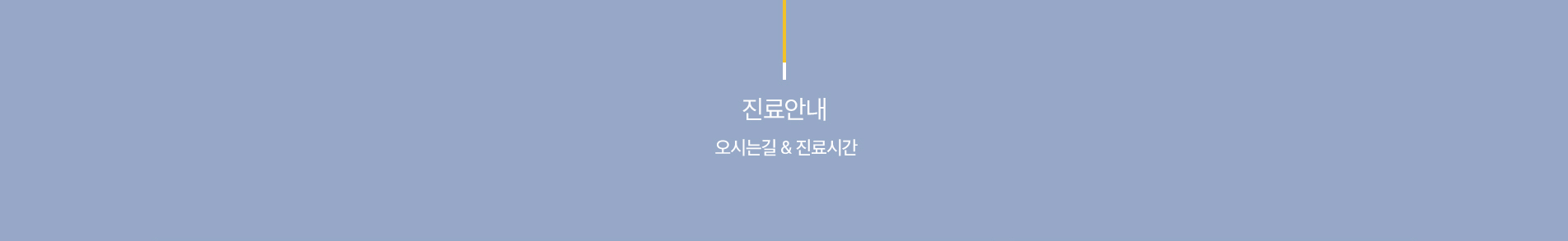 진료안내